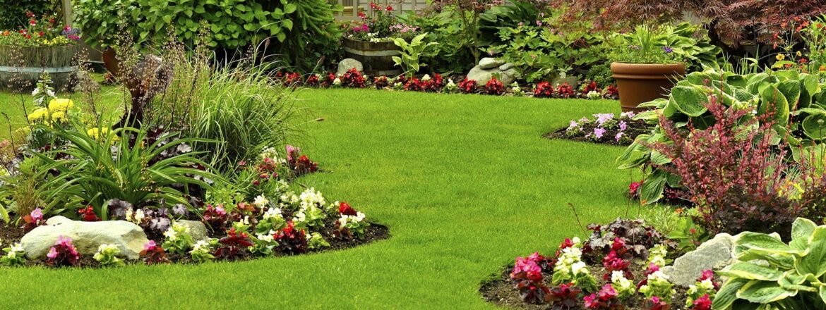 Commercial landscape maintenance for a professional property exterior