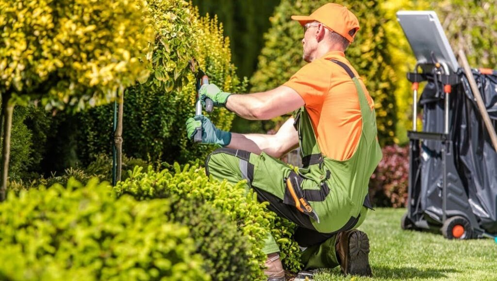 Professional landscape maintenance crew working on a commercial property