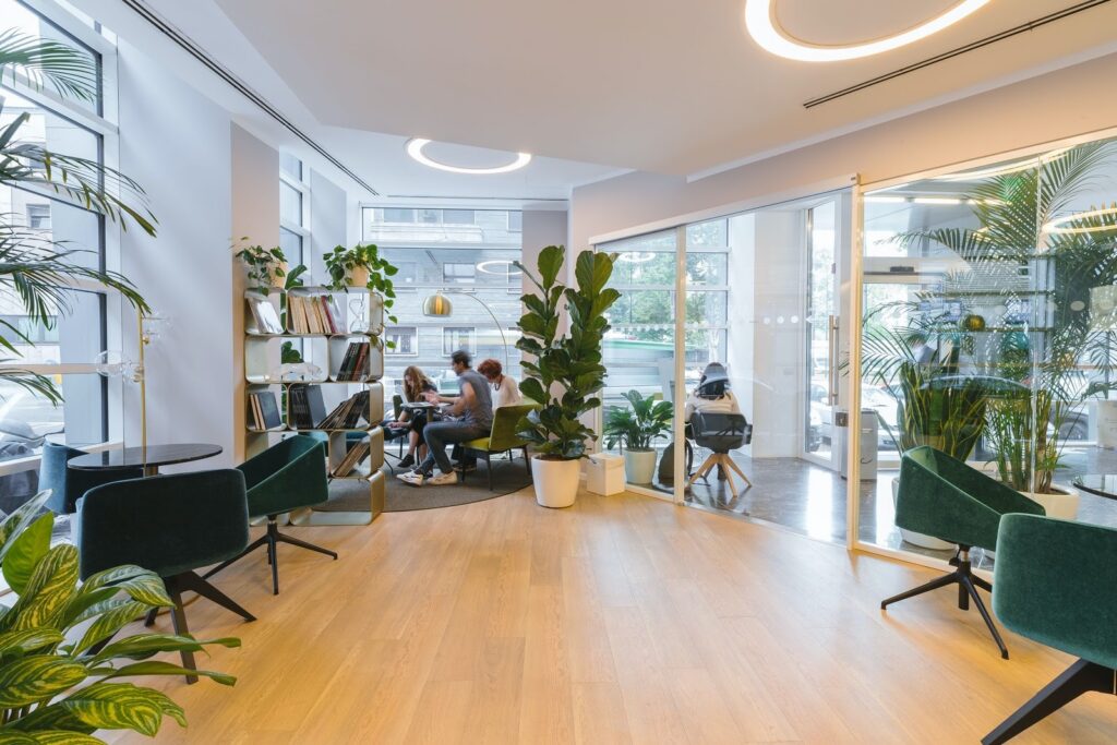 Interior plantscape maintenance for office and commercial indoor plants