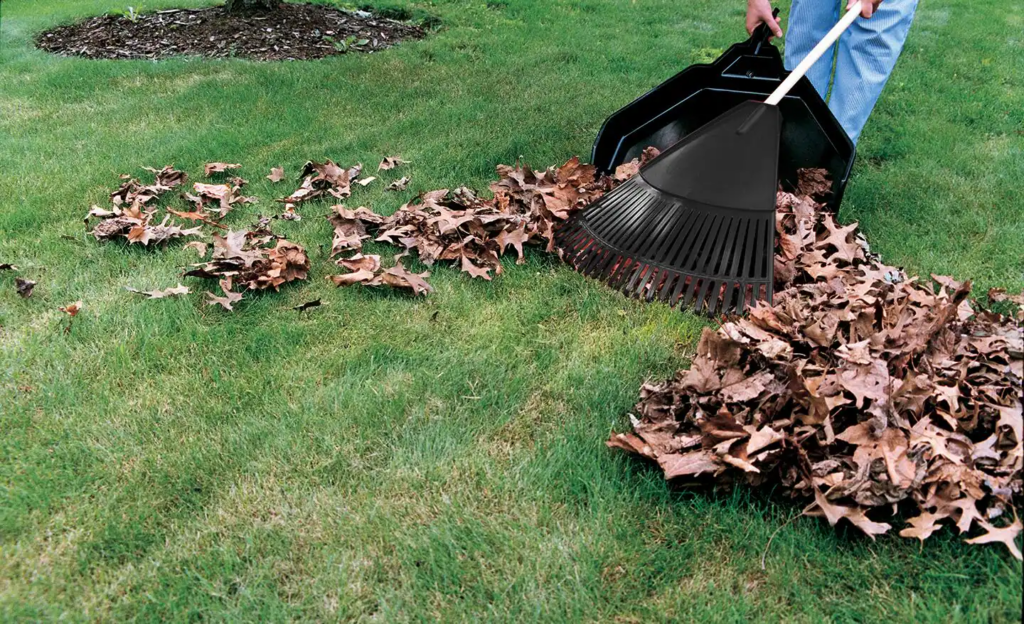 Yard debris removal after residential landscaping cleanup