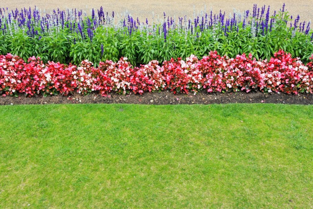 Seasonal color planting services for commercial landscape beds