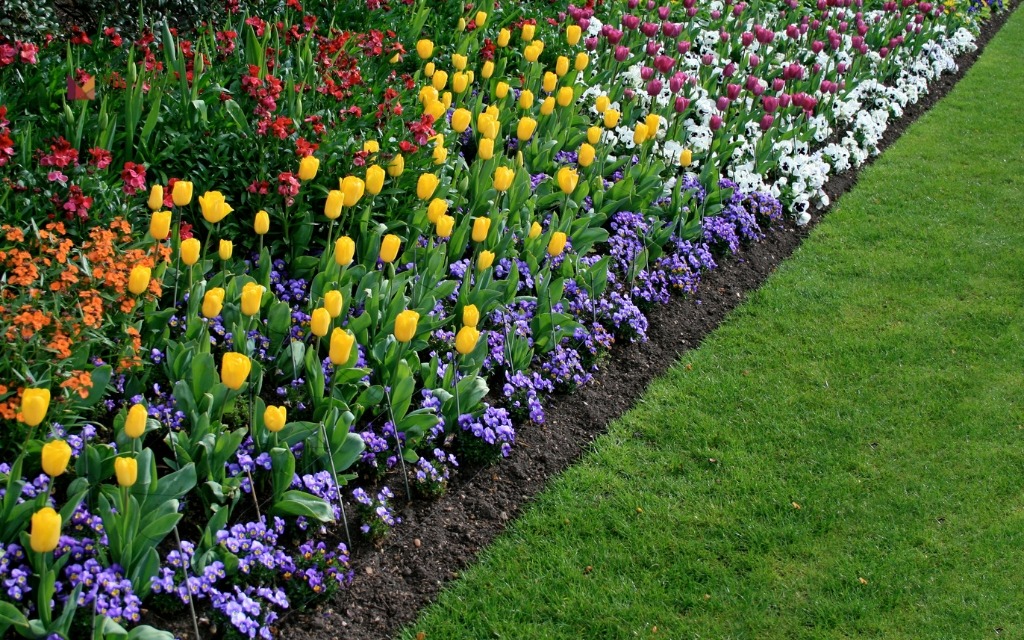 Professional seasonal color maintenance for commercial planting beds
