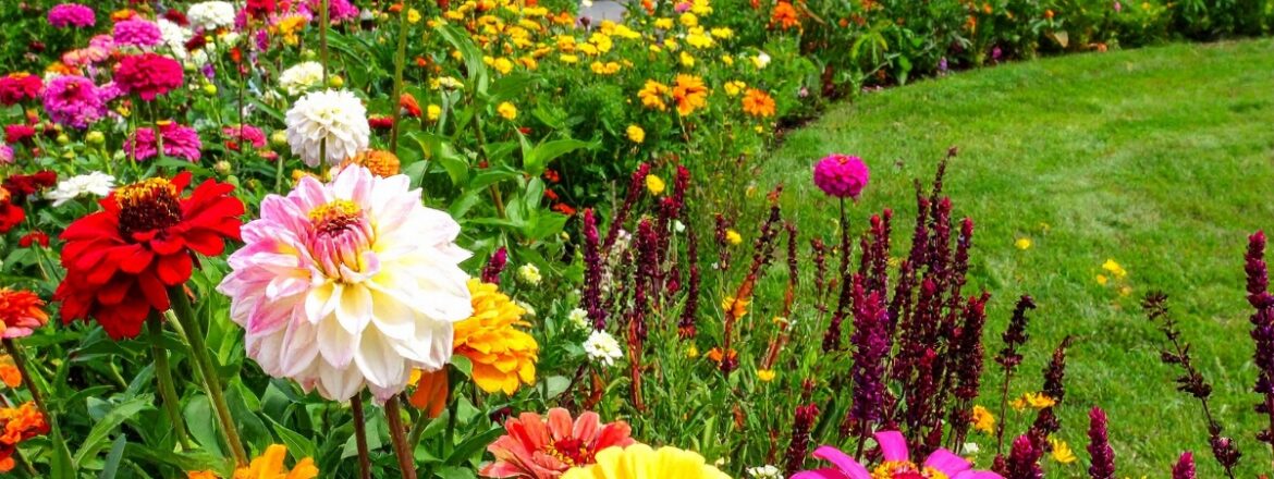 Seasonal color planting services
