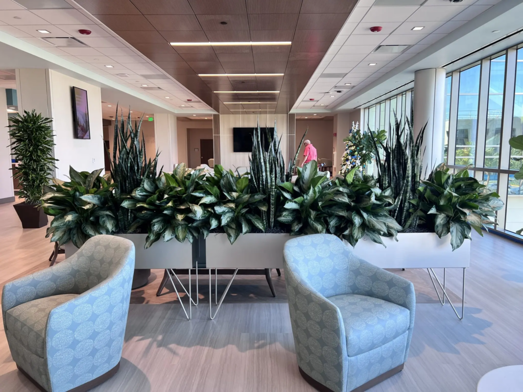 Interior plant maintenance for commercial spaces in Utah