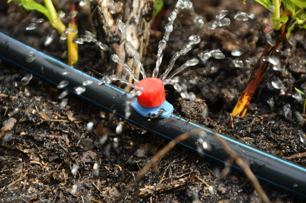 Drip irrigation system saving water in commercial planting beds
