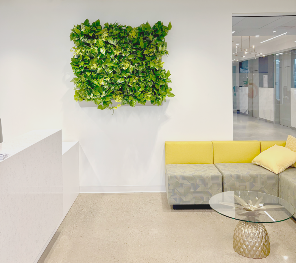 Living green wall in a modern commercial office lobby