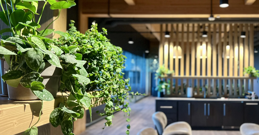 Interior plantscaping for commercial office spaces