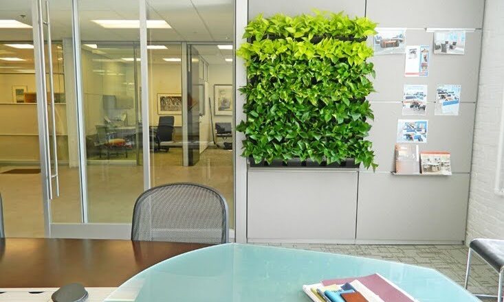 Living green wall in a modern commercial office