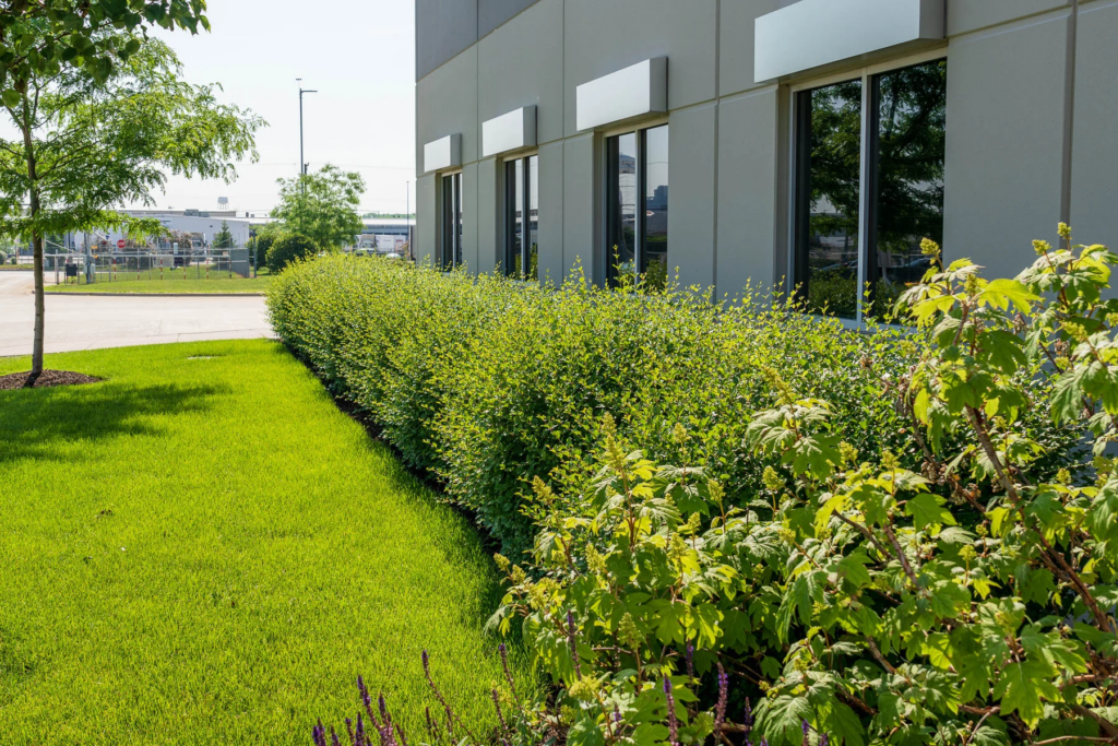 Landscaping services for tree and shrub care at a Salt Lake City commercial property