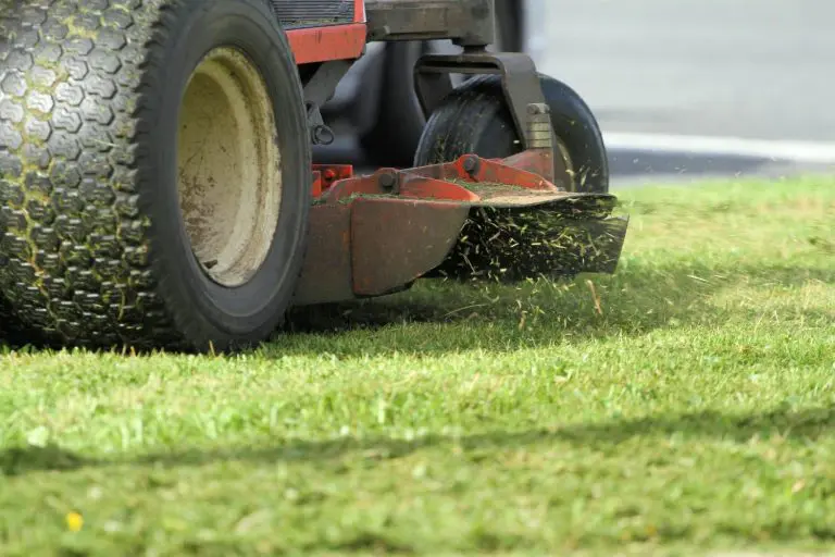 Commercial landscaping services supporting daily property operations in Salt Lake City