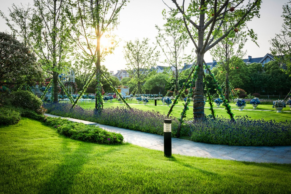 Tree and shrub care for commercial landscaping in Salt Lake City